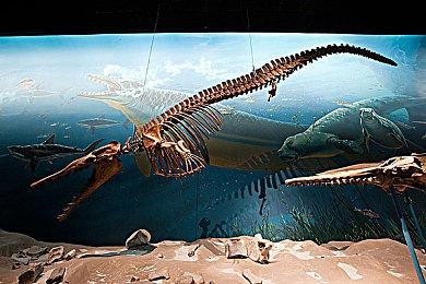 《暗黑4》封测泄露：支持 DirectStorage、大小69.8GB等