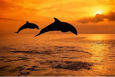 万智牌宣布与漫威联动 上线日期待定