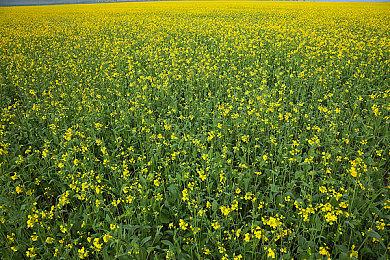 《潜行者2切尔诺贝利之心》即将上线，邀你一起末日捡破烂